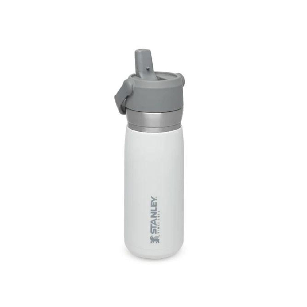 STANLEY GO FLIP STRAW WATER BOTTLE | 0.65L, Water Bottles, Polar White   - Outdoor Kuwait
