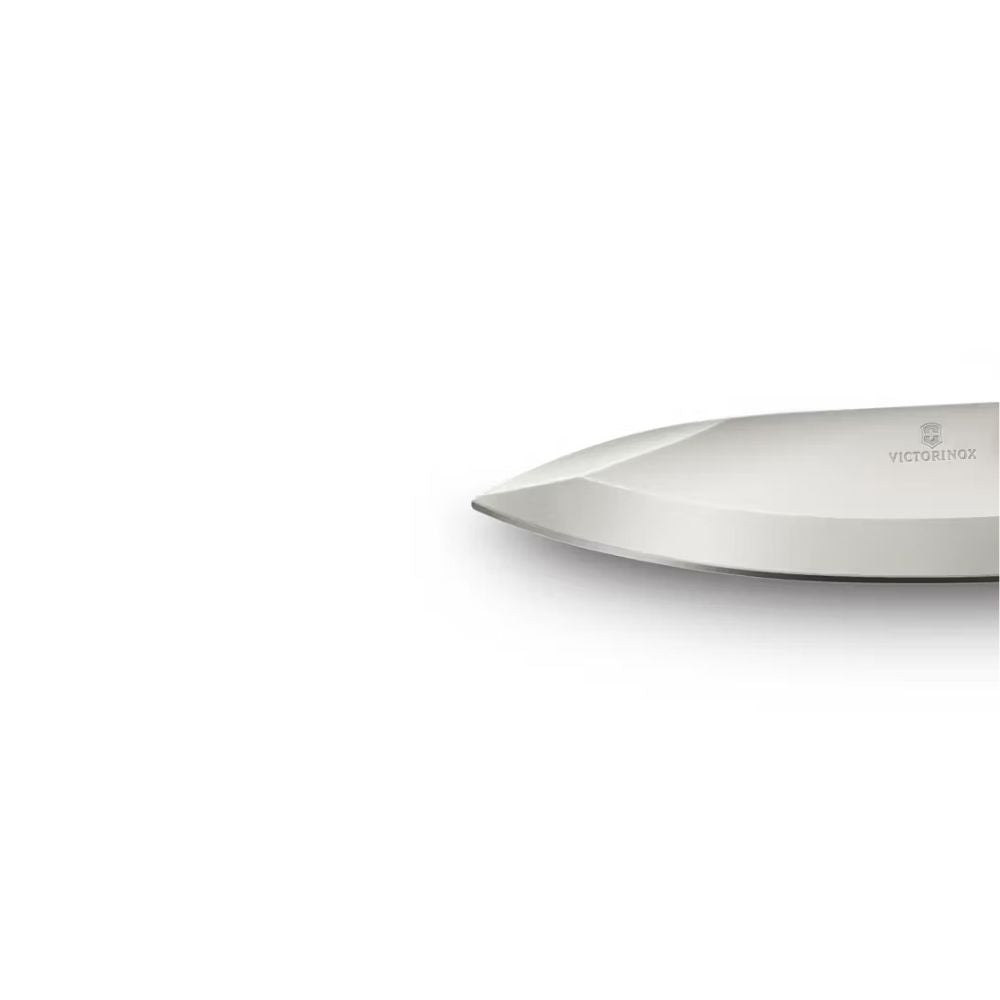 Victorinox Evoke Alox Silver W/Clip & Paracord, Knives, - Outdoor Kuwait