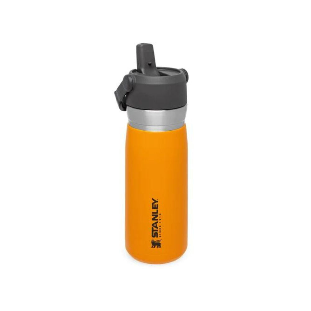 STANLEY GO FLIP STRAW WATER BOTTLE | 0.65L, Water Bottles, Saffron   - Outdoor Kuwait