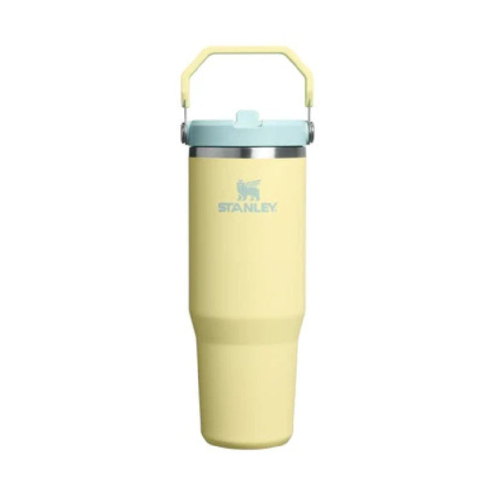 STANLEY CLASSIC ICEFLOW FLIP STRAW TUMBLER, Water Bottles, 30oz Pomelo - Outdoor Kuwait