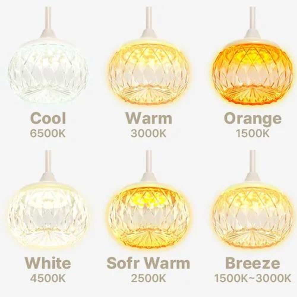 Claymore - Enough 5, String Lights, - Outdoor Kuwait