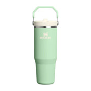 STANLEY CLASSIC ICEFLOW FLIP STRAW TUMBLER, Water Bottles, 30oz Pistachio - Outdoor Kuwait