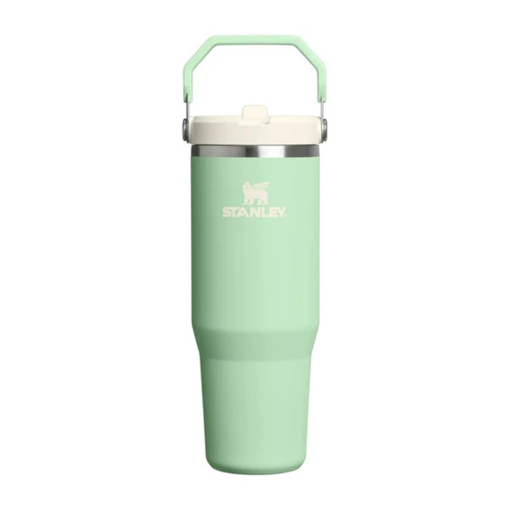 STANLEY CLASSIC ICEFLOW FLIP STRAW TUMBLER, Water Bottles, 30oz Pistachio - Outdoor Kuwait