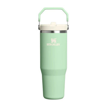 STANLEY CLASSIC ICEFLOW FLIP STRAW TUMBLER, Water Bottles, 30oz Pistachio - Outdoor Kuwait