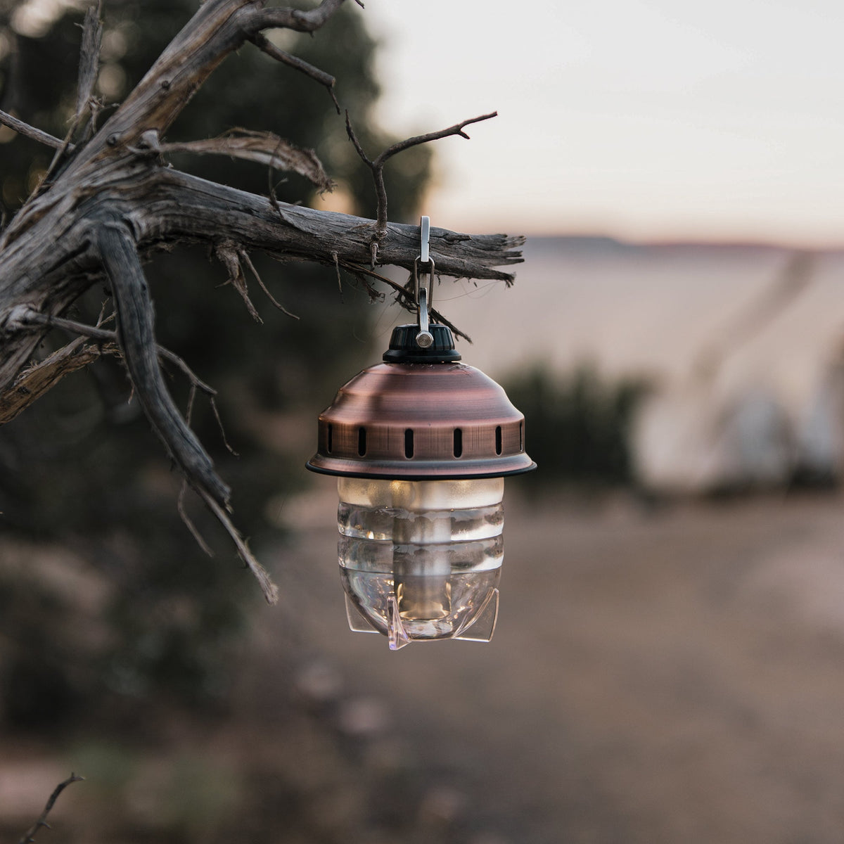 Barebones Beacon Hanging Lantern