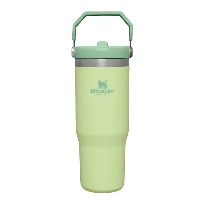 STANLEY CLASSIC ICEFLOW FLIP STRAW TUMBLER, Water Bottles, 30oz Citron - Outdoor Kuwait