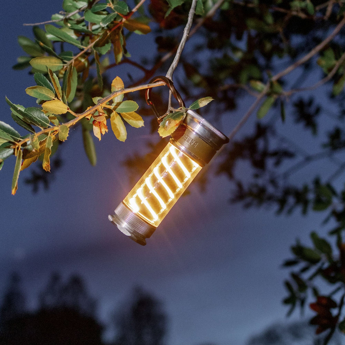 Barebones Edison Light Stick