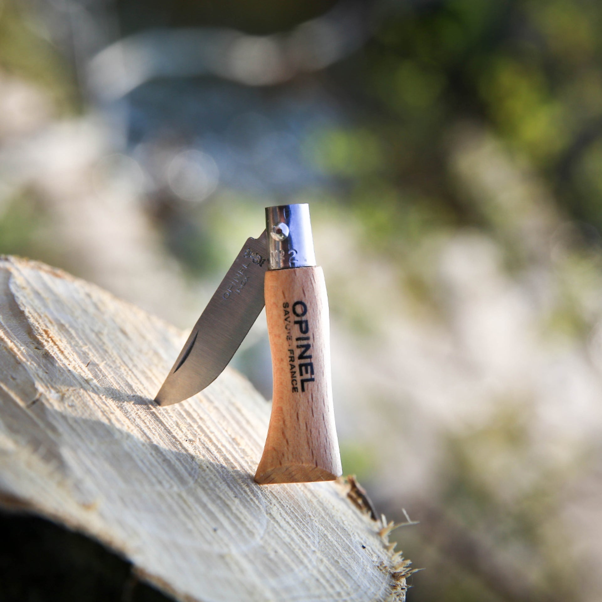 Opinel No.02 Stainless Steel Pocket Knife 3123840000652
