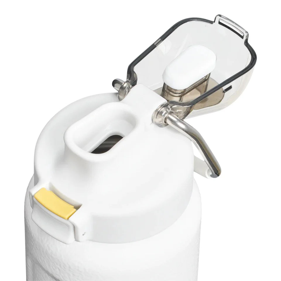 Stanley Classic Wellspring Bottle 0.7L