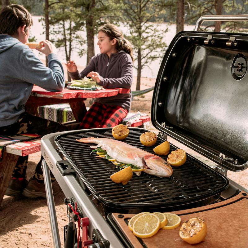 Weber Traveler Gas Barbecue