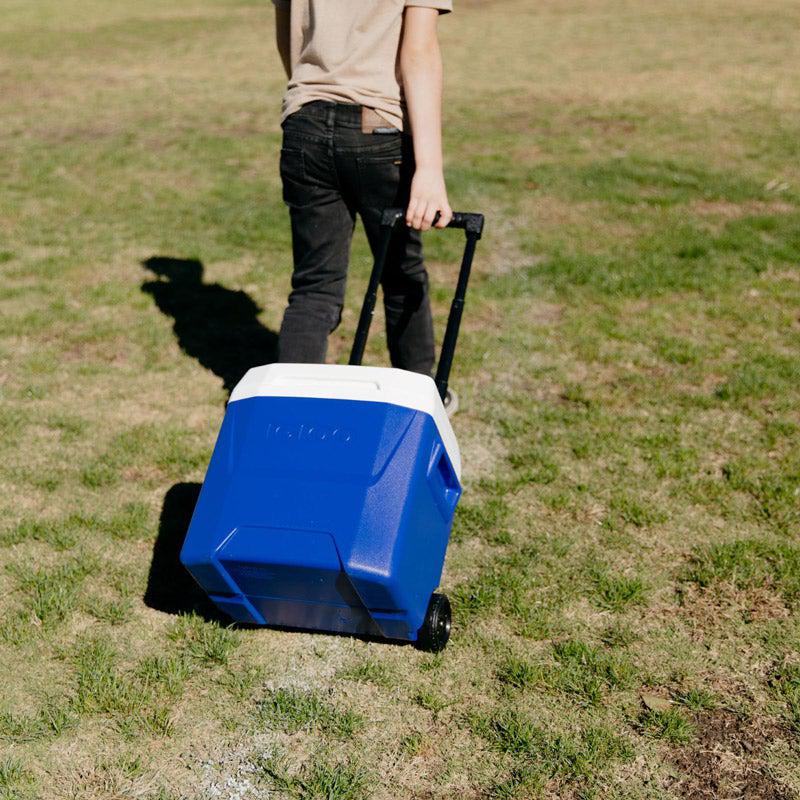 Igloo 16 Qt Laguna Roller Cooler, Coolers,    - Outdoor Kuwait
