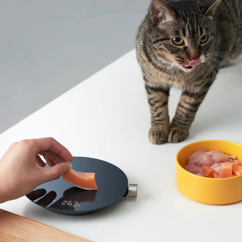 Hoto Smart Kitchen Scale, Measuring Tool, - Outdoor Kuwait
