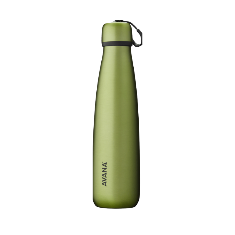 Avana Ashbury Stainless Steel Insulated Water Bottle 18 oz, Water Bottles, Palm   - Outdoor Kuwait