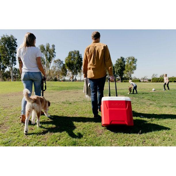 Igloo 28 Qt Laguna Roller Cooler, Coolers,    - Outdoor Kuwait